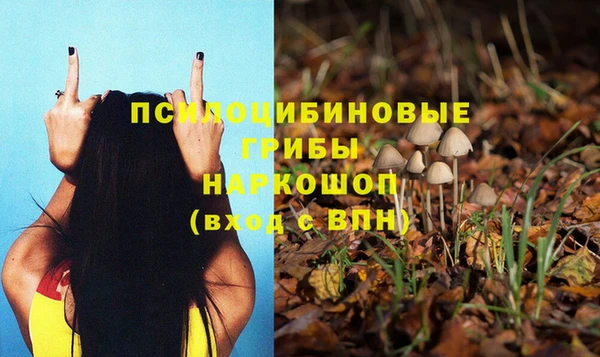spice Баксан