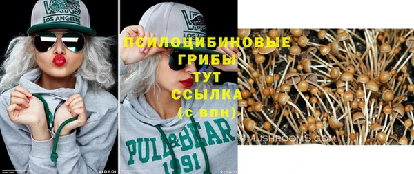 apvp Белокуриха