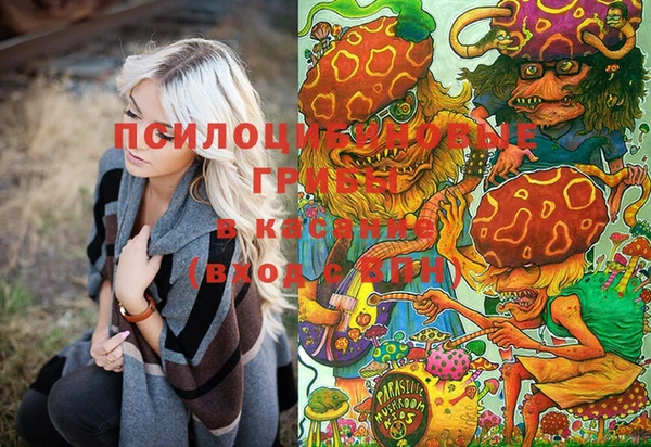 шишки Балабаново
