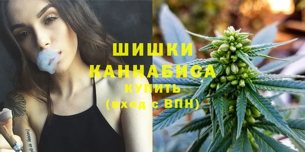 трава Беломорск