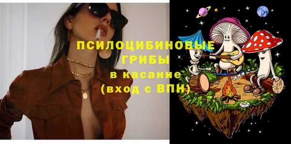 шишки Балабаново
